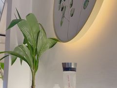 -探窝·竹笙椰子鸡(杨箕店)