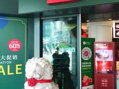 门面-裕华国货(牛车水总店)