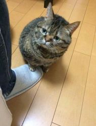 -倾城琪缘珠宝