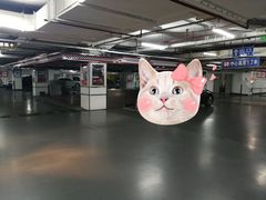 -莘庄龙之梦停车场