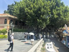 -龙头鱼丸店 只此一家只卖手工鲨鱼丸