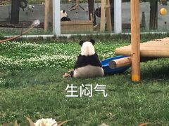 -西安秦岭野生动物园