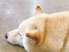-微焙咖啡工厂(海峡创意产业园·红坊店)