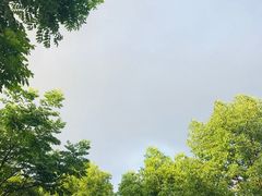 -复旦大学附属华山医院(江苏路分部)