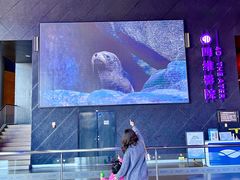 -广东科学中心科技影院