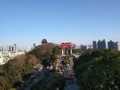 -黄鹤楼公园(黄鹤楼)