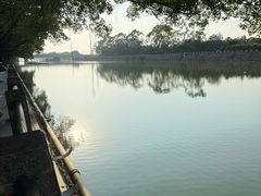-大湾区中央湿地公园