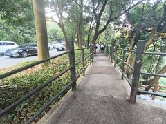 -广州市帽峰山景区