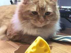 -星巴克臻选(济南万达店)