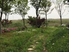 -同里国家湿地公园