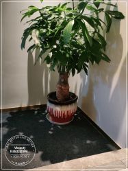 -苑苑vbeauty科技美容SPA