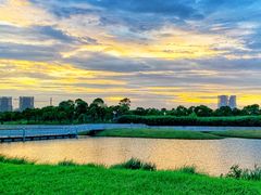 -春花秋色城市公园