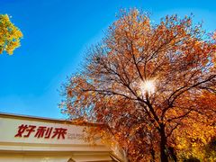 -好利来(槐中店)