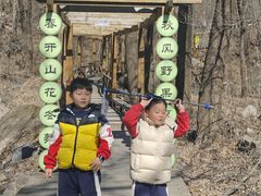 -大岭沟猕猴桃谷风景区