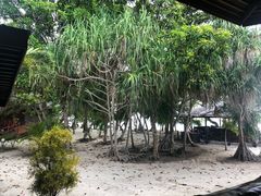 -邦邦岛