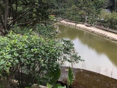 -广州市帽峰山景区