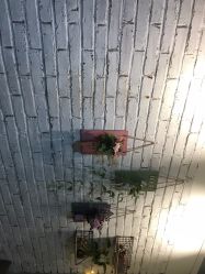 -翡艺写真馆·薇漫