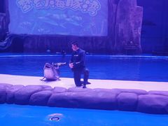 -华夏文旅海洋公园