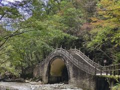 -牛背梁国家森林公园