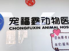 -宠福鑫动物医院(城北分院)