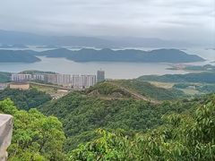 -黄贤森林公园