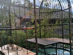 -喵屿·大理花园猫咖