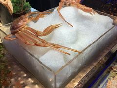 -乔哥铭洋海鲜自助(皇城恒隆广场店)