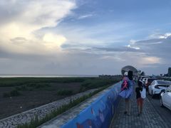 -南汇嘴观海公园