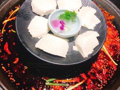 -渝涯重庆豆花老火锅(中赢国际店)