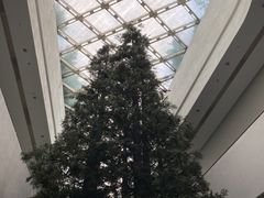 -中国湿地博物馆