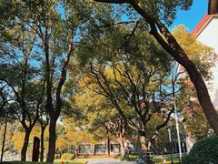 -上海财经大学(国定路校区)