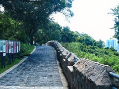 -南沙蒲洲花园