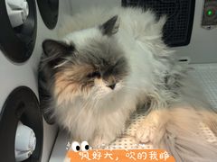 -萌兽医馆·眼科·异宠专科(三里屯店)