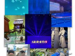 -《驼铃传奇》秀