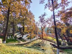 -岳麓山风景名胜区