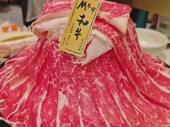 -一绪に寿喜烧(荟聚店)