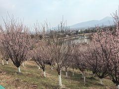 -安徽大青山野生动物世界