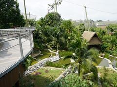-新加坡飞禽公园