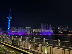 -聚龙湖公园