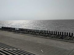 -碧海金沙