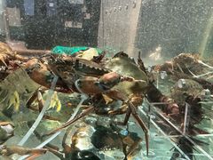 -1718海鲜姿造(苏宁宴请臻选店)