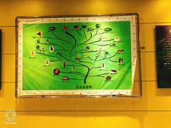 -上海昆虫博物馆