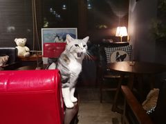 -咖法森林·咖啡  酒吧(天河店)