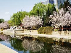 -元大都城垣遗址公园