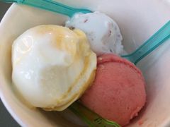 -莓园冰淇淋店