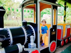 -美的鹭湖探索王国