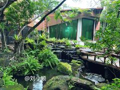 -绿光森林餐厅