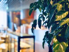 -广州富力君悦大酒店·凯菲厅