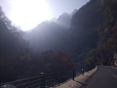 -陕西省红河谷森林公园