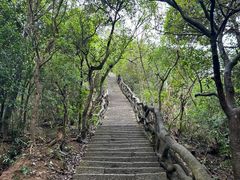 -梧桐山风景名胜区